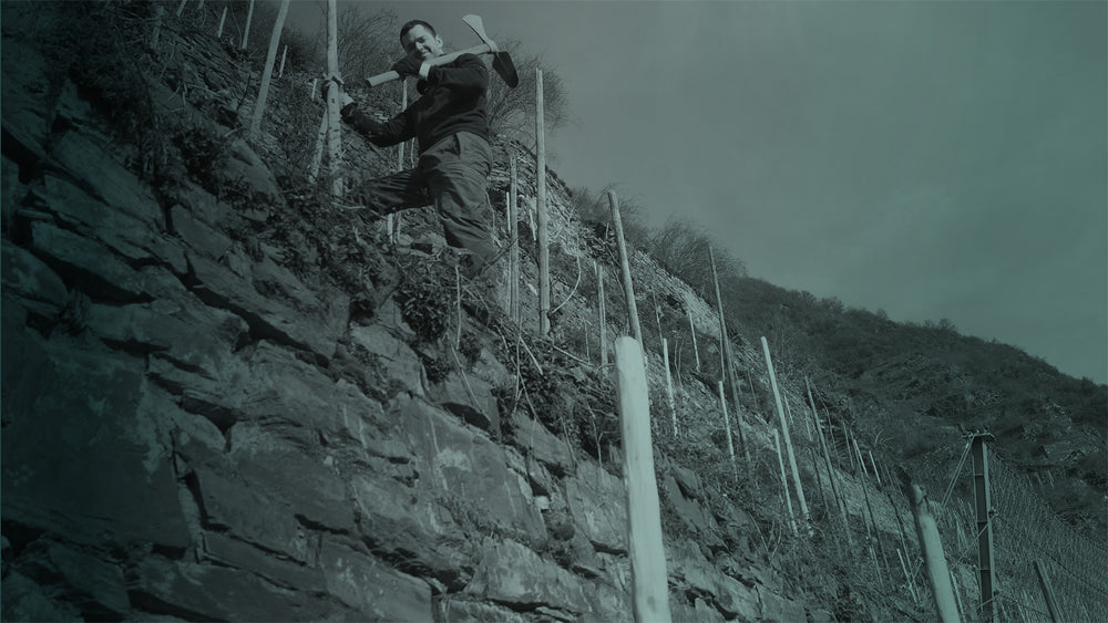 Bremmer Calmont Winterarbeit